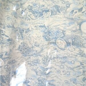 Vintage fabric, children's storybook, blue and white toile